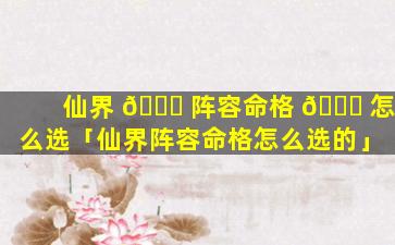 仙界 🐝 阵容命格 🐛 怎么选「仙界阵容命格怎么选的」